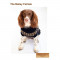 CC-Bailey-Navy-03